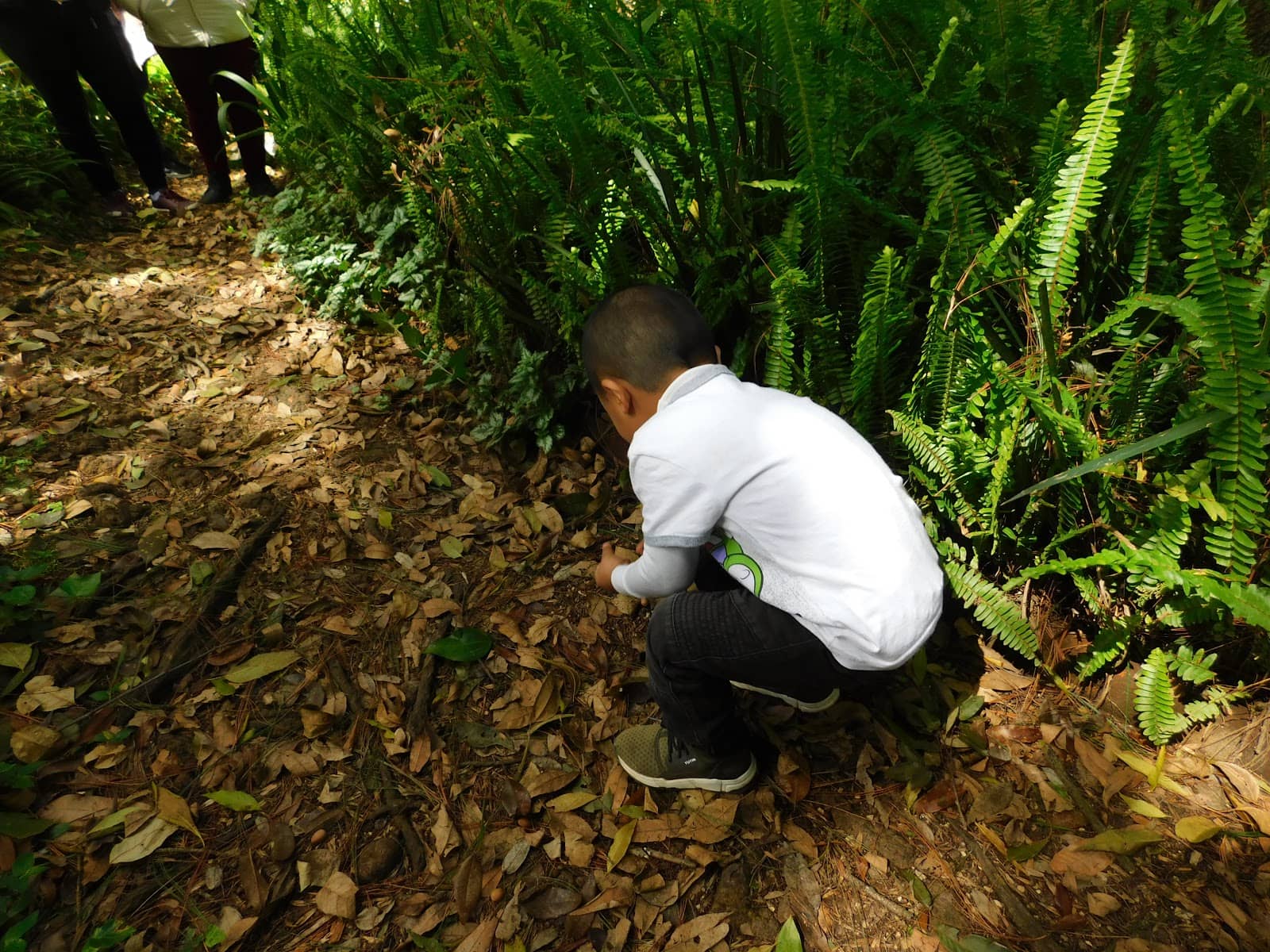 Indigenous Community Exhibits