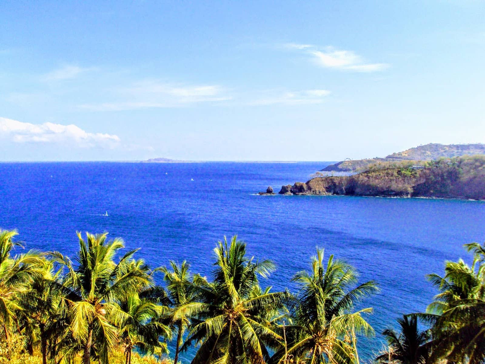 Friendly Monkey Encounters