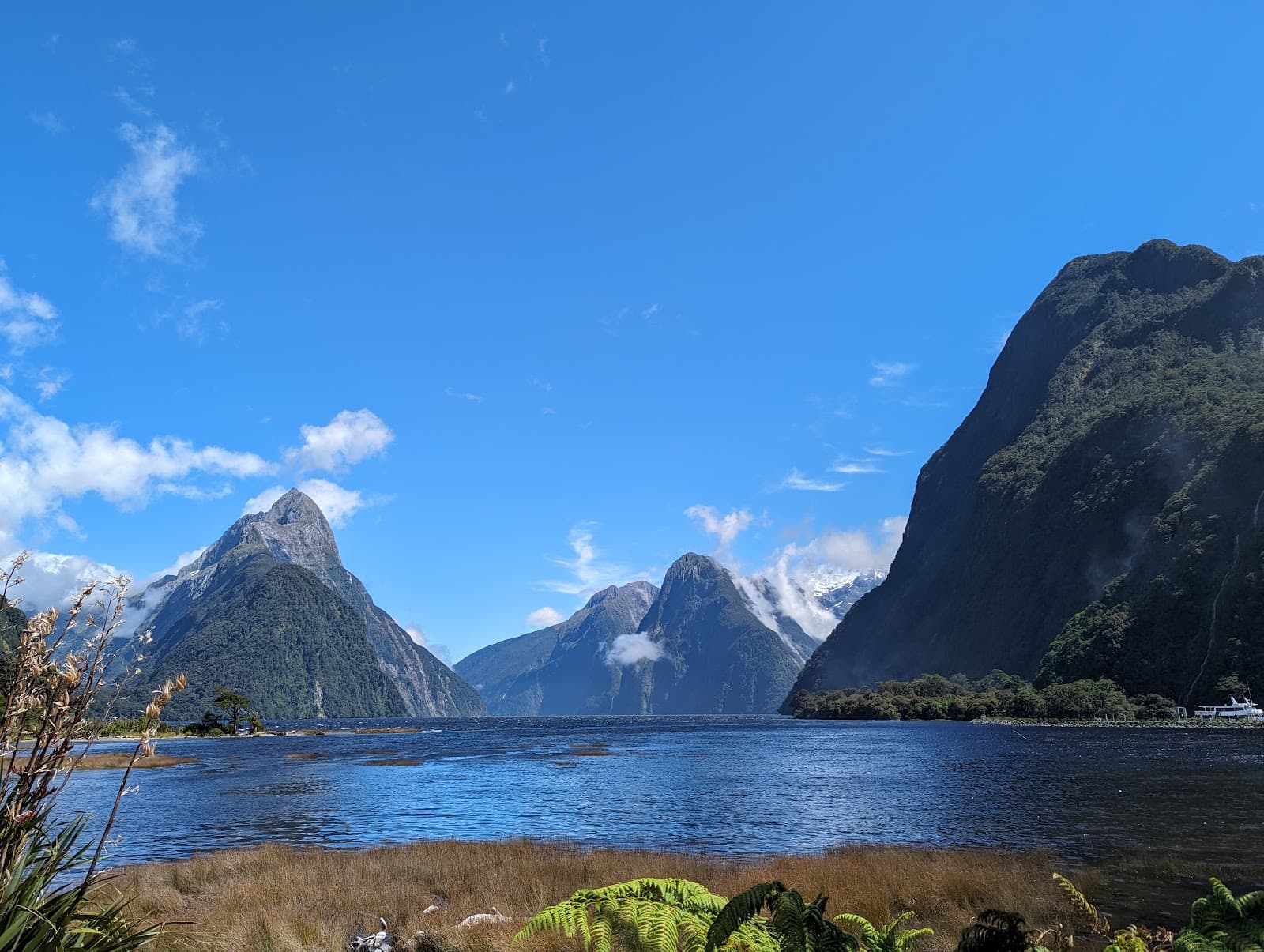 Milford Foreshore Walk - Image 1