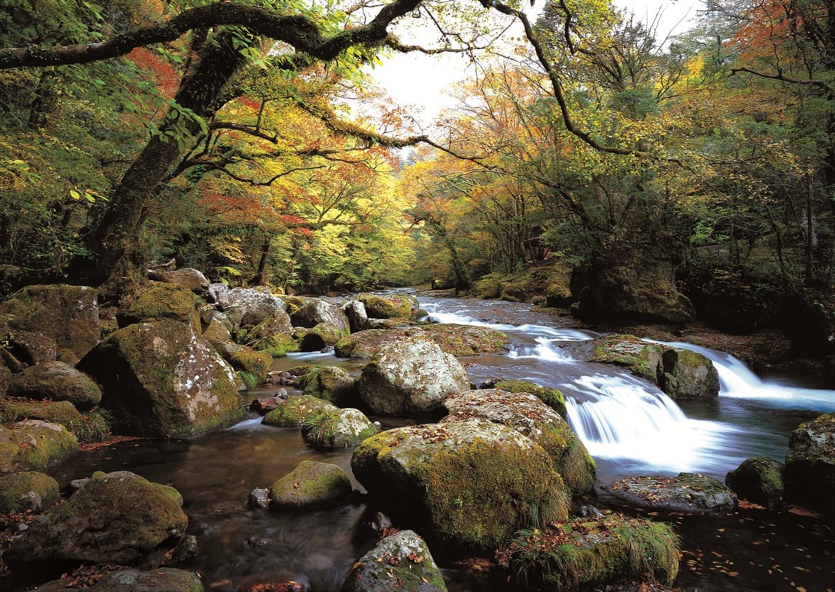 Kikuchi Gorge - Image 1