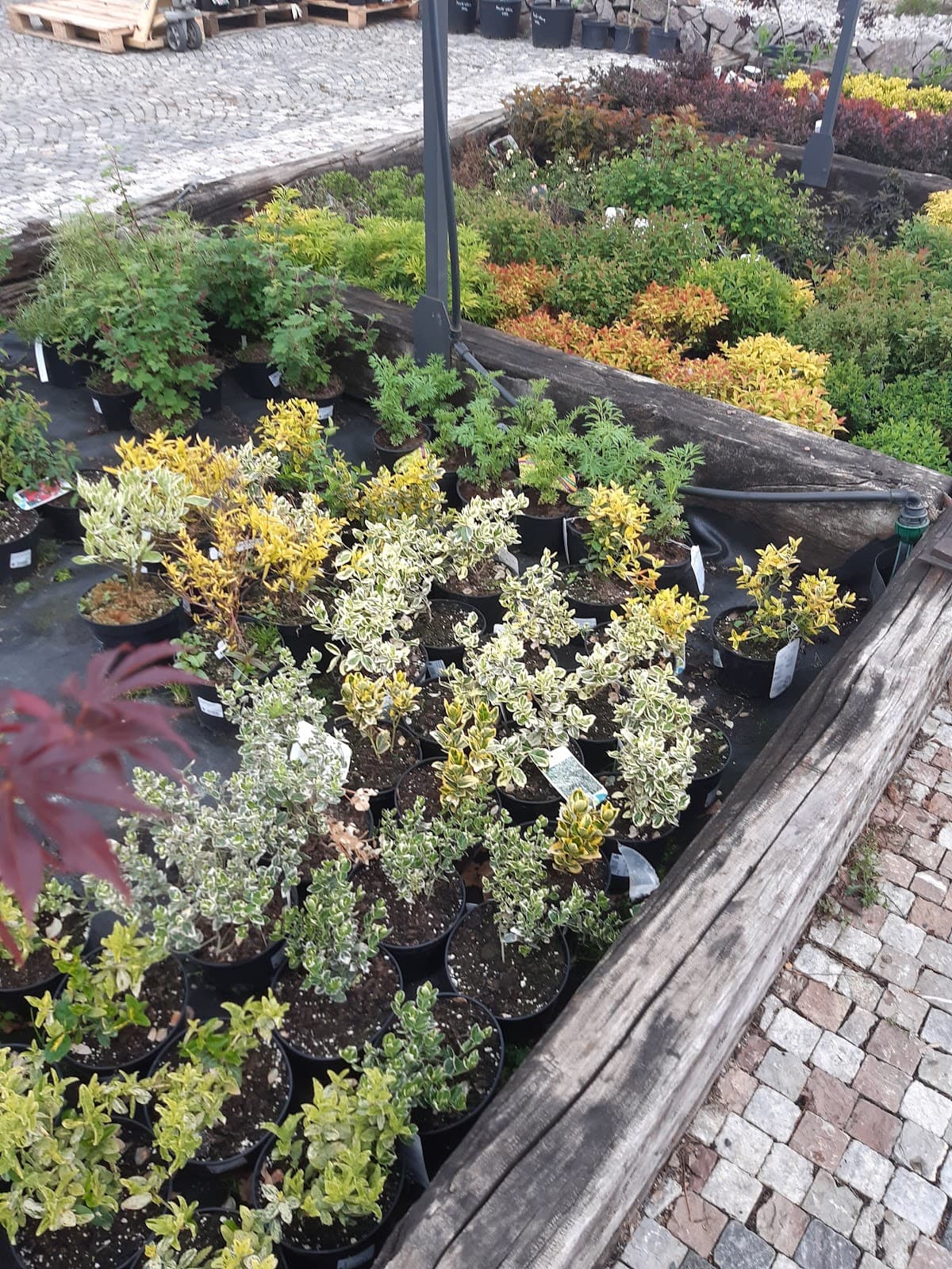 Dolní Měcholupy - Image 1