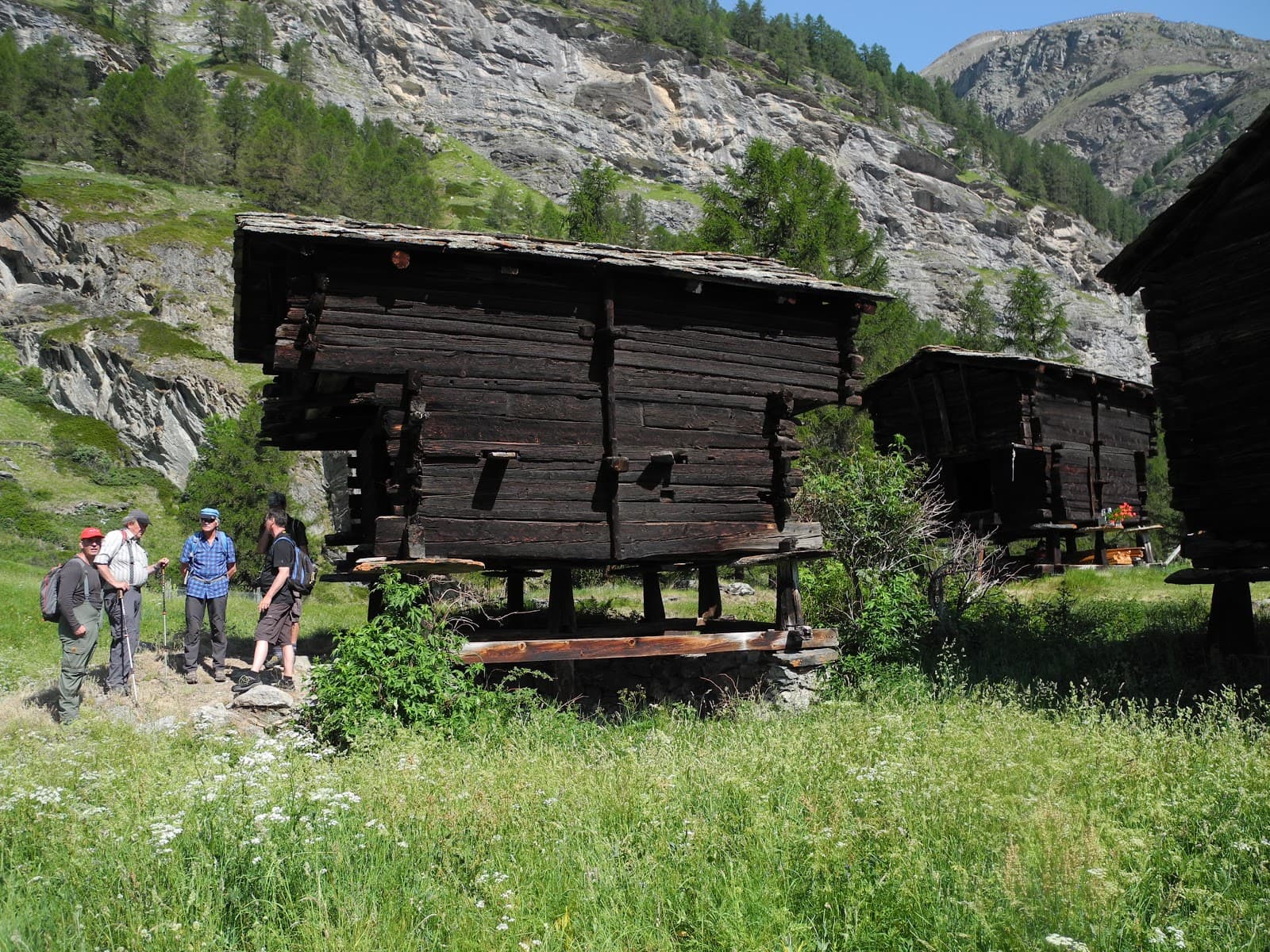 Zermatt Nature Walks - Image 1