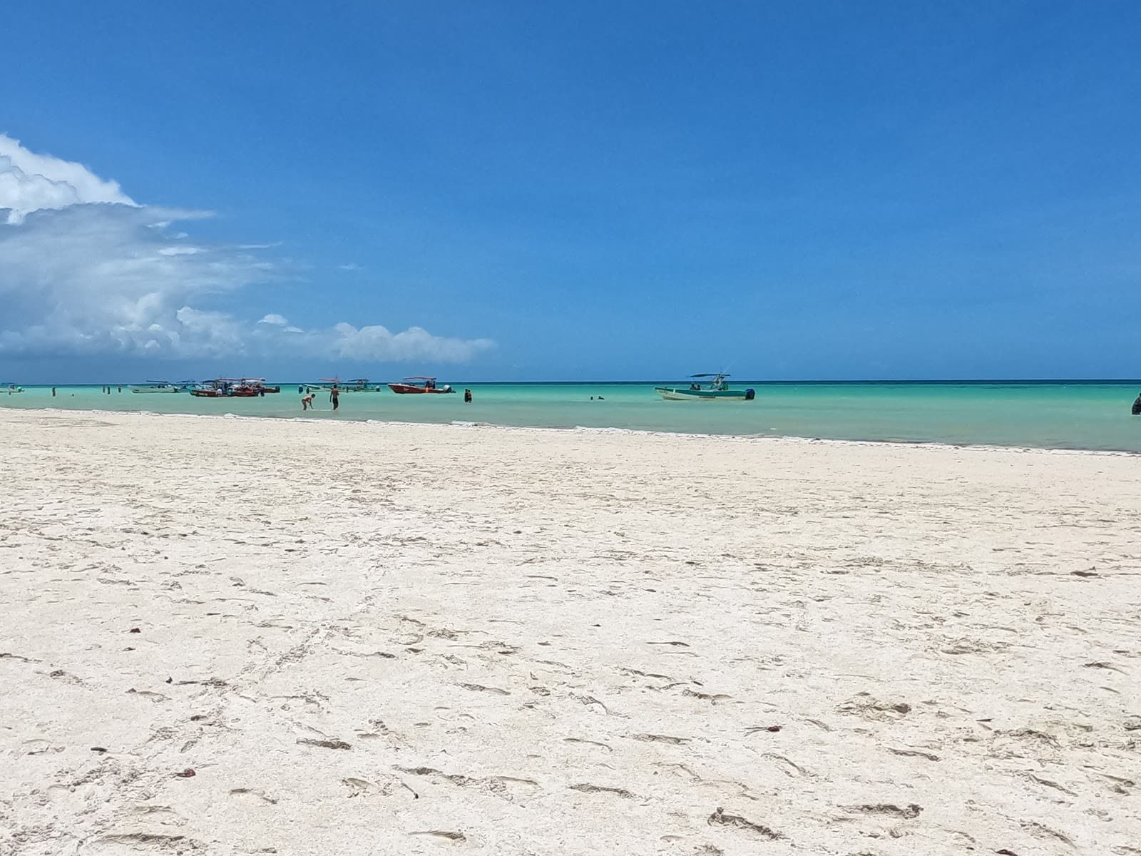 Yum Balam Nature Reserve Isla Holbox - Image 1