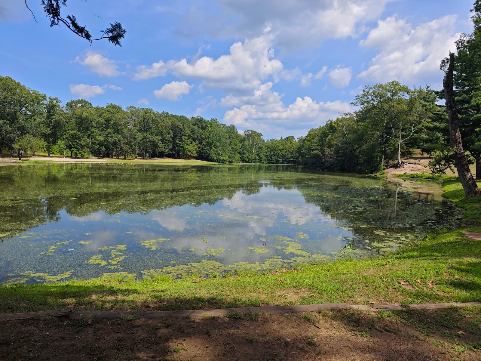 Wharton Brook State Park - Image 1