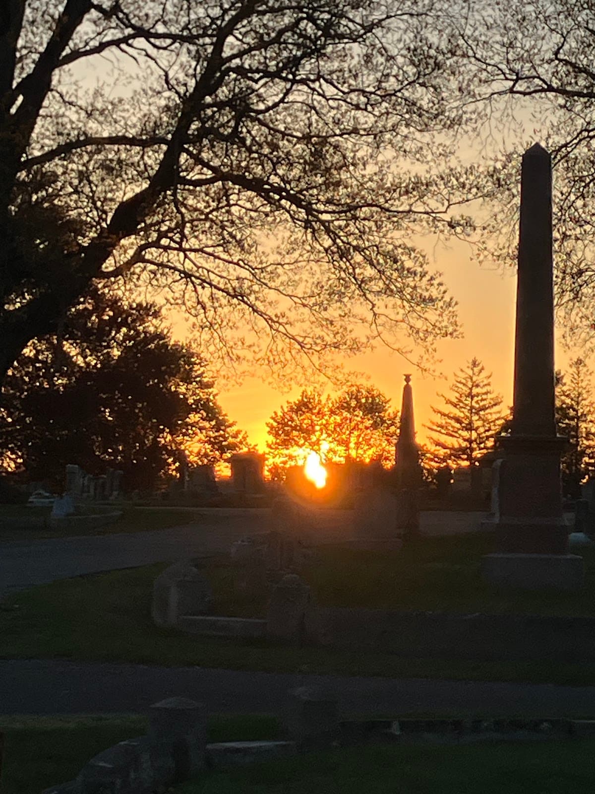 Oak Grove Cemetery - Image 1