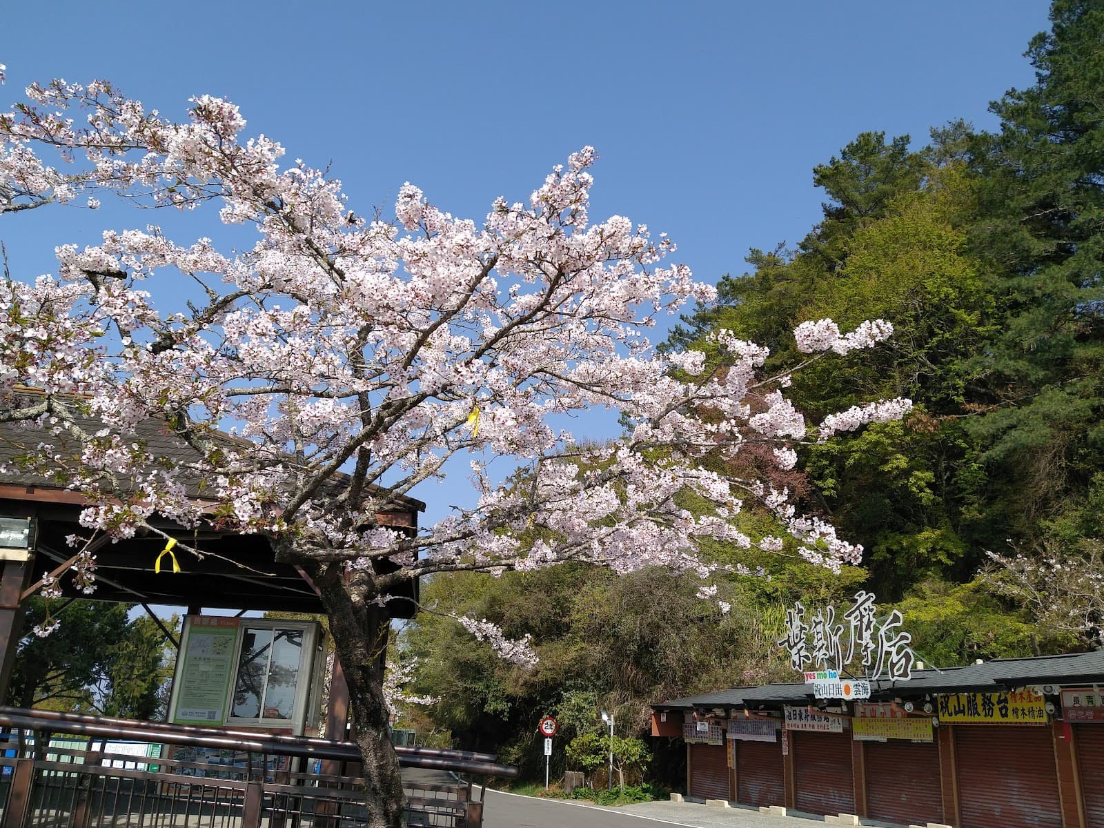 Zhushan Sunrise Viewing Platform Alishan - Image 1