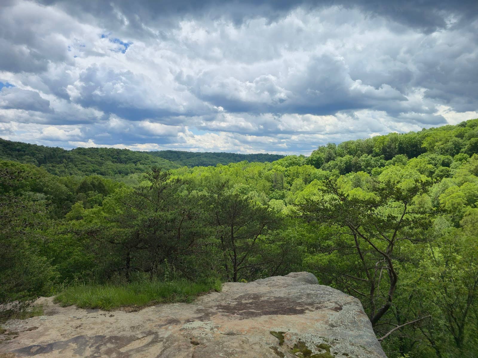 Bridle Trail Adventure