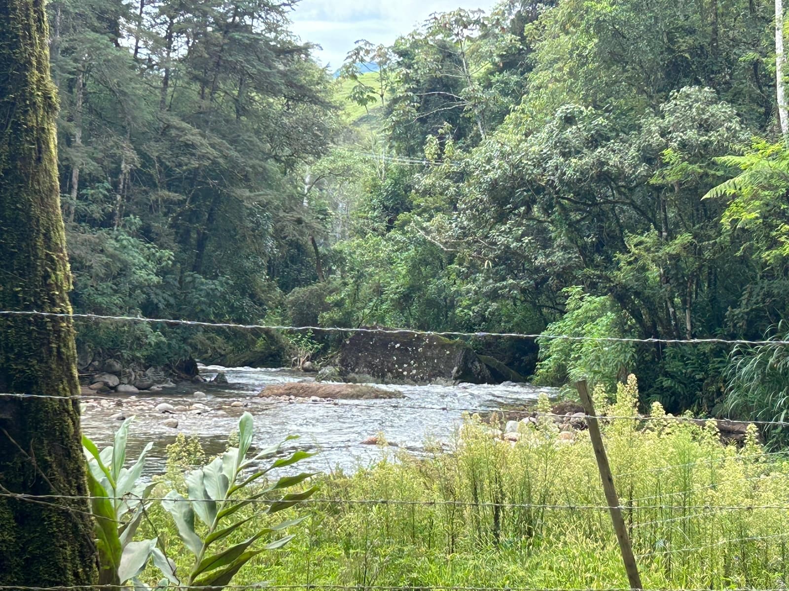 Visconde de Mauá (region) - Image 1