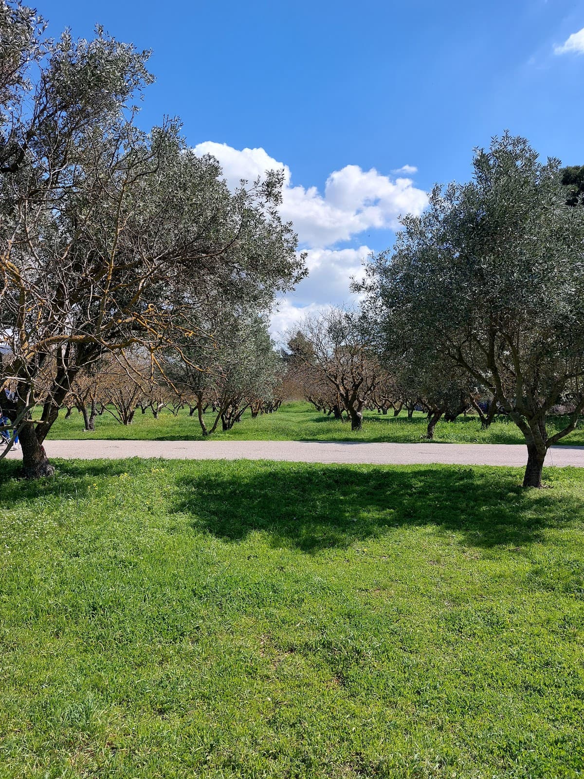 Syngrou Park - Image 1