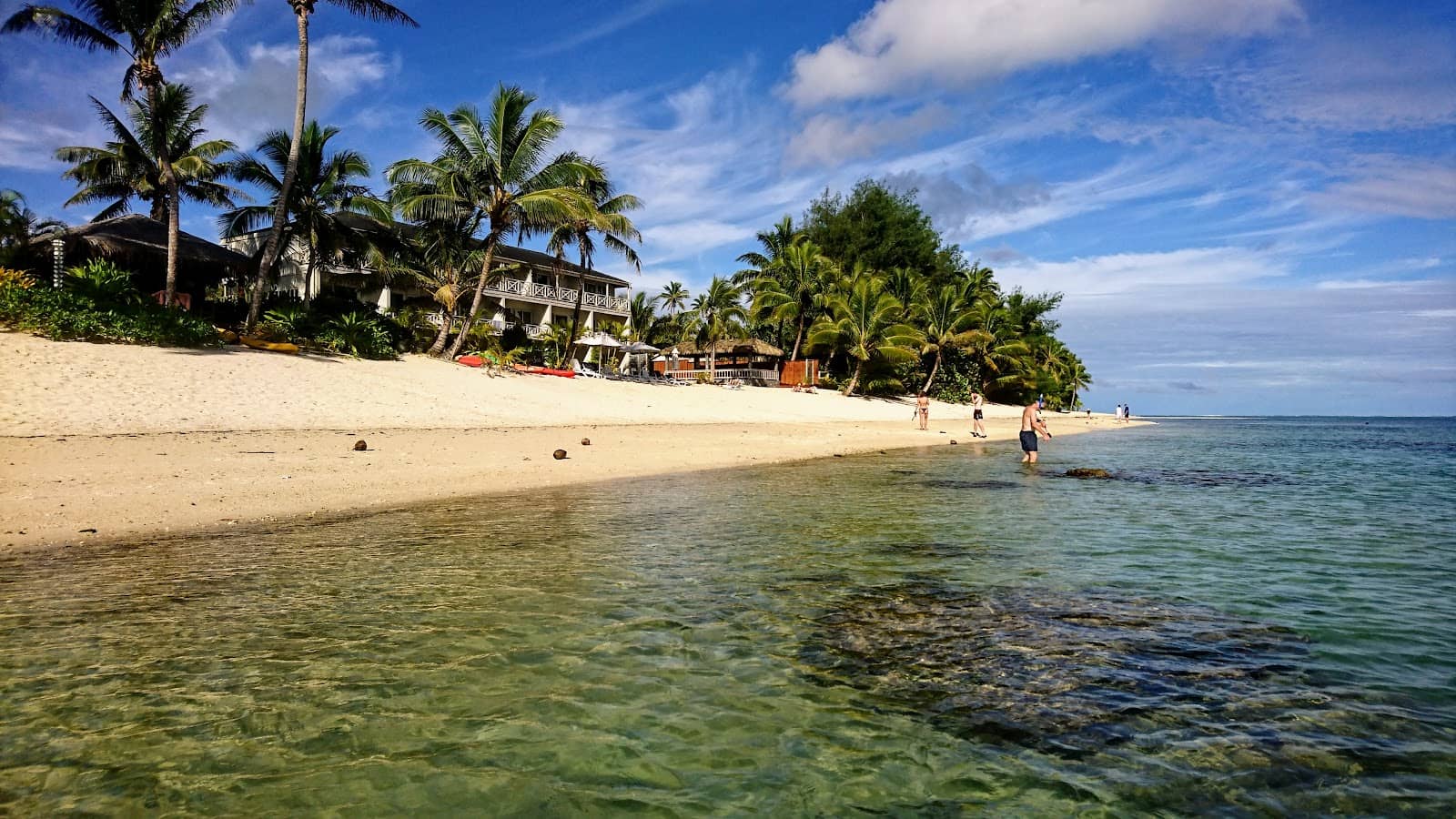 Palm-Shaded Relaxation