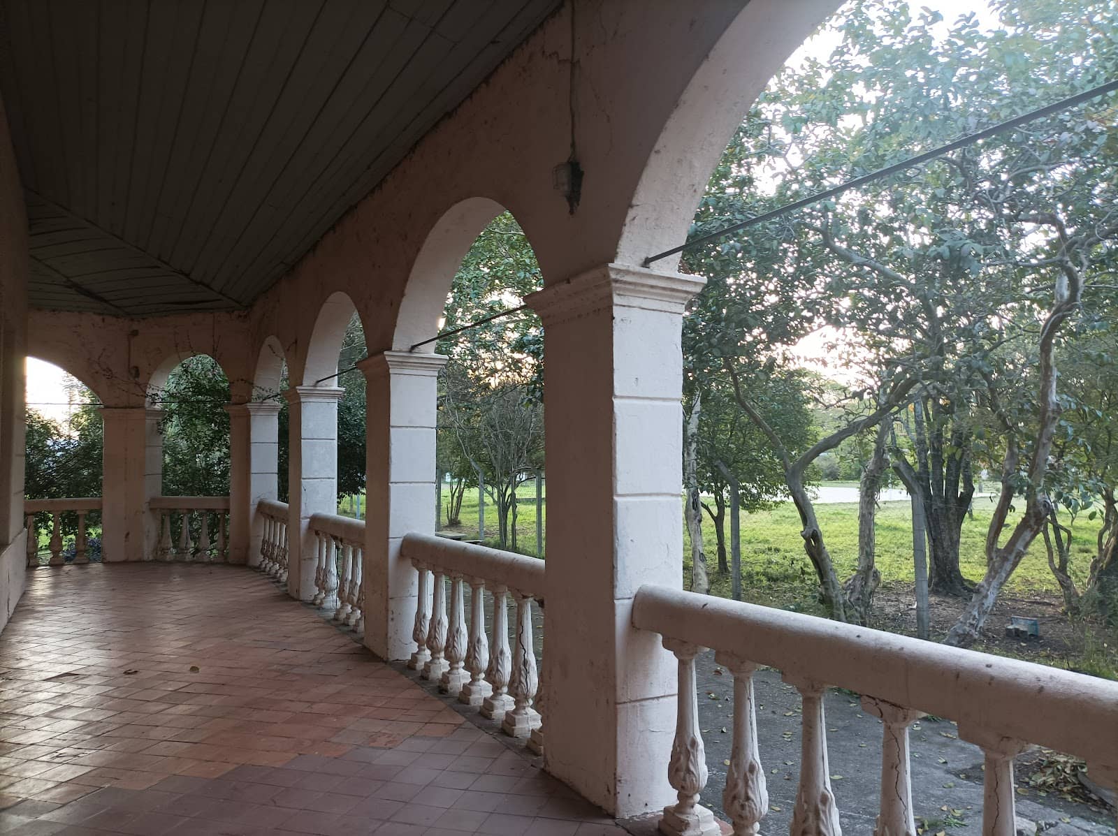 Lush Garden and Grounds