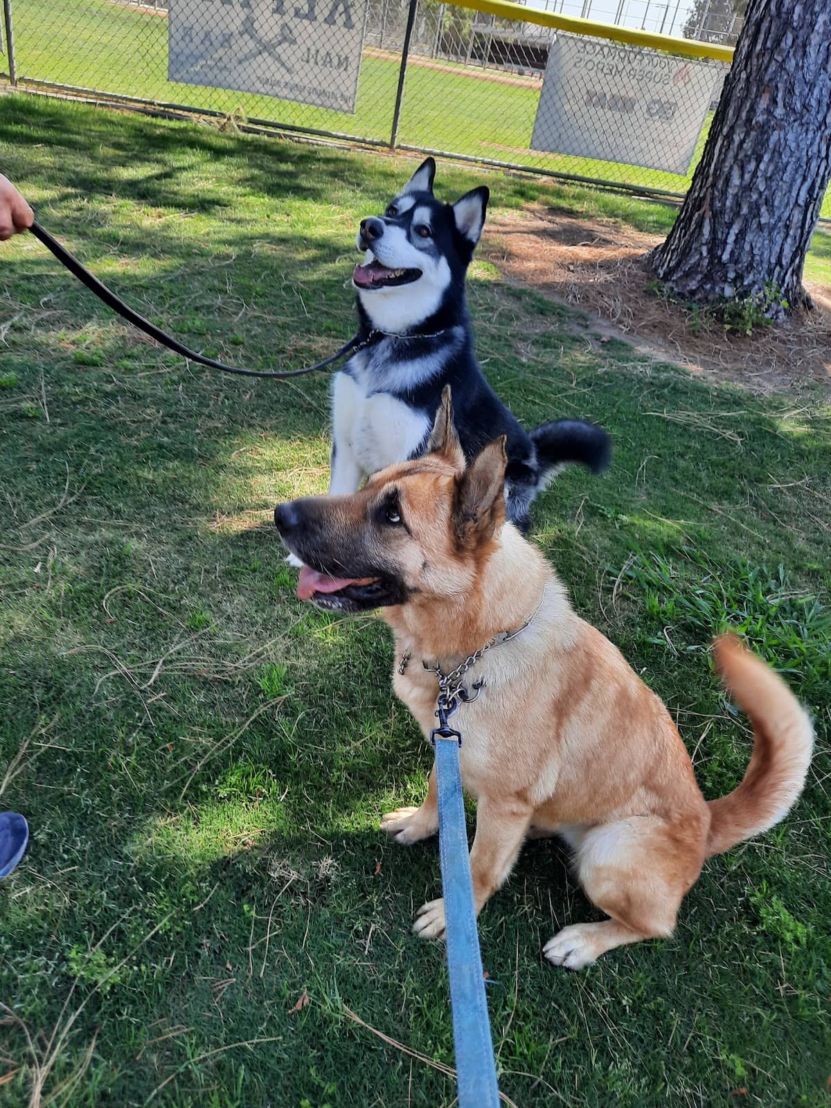 Children's Playground