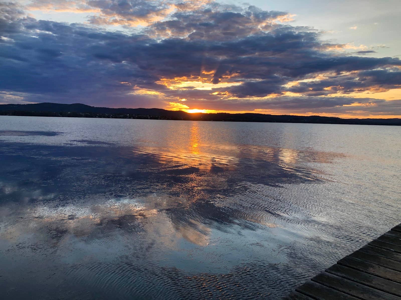 Birdwatching Paradise