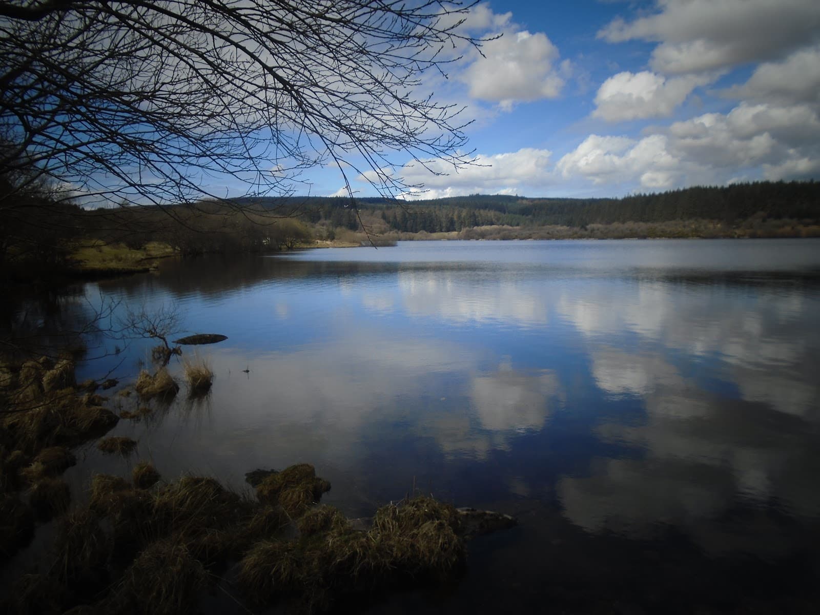 Fernworthy Reservoir and Forest - Image 1