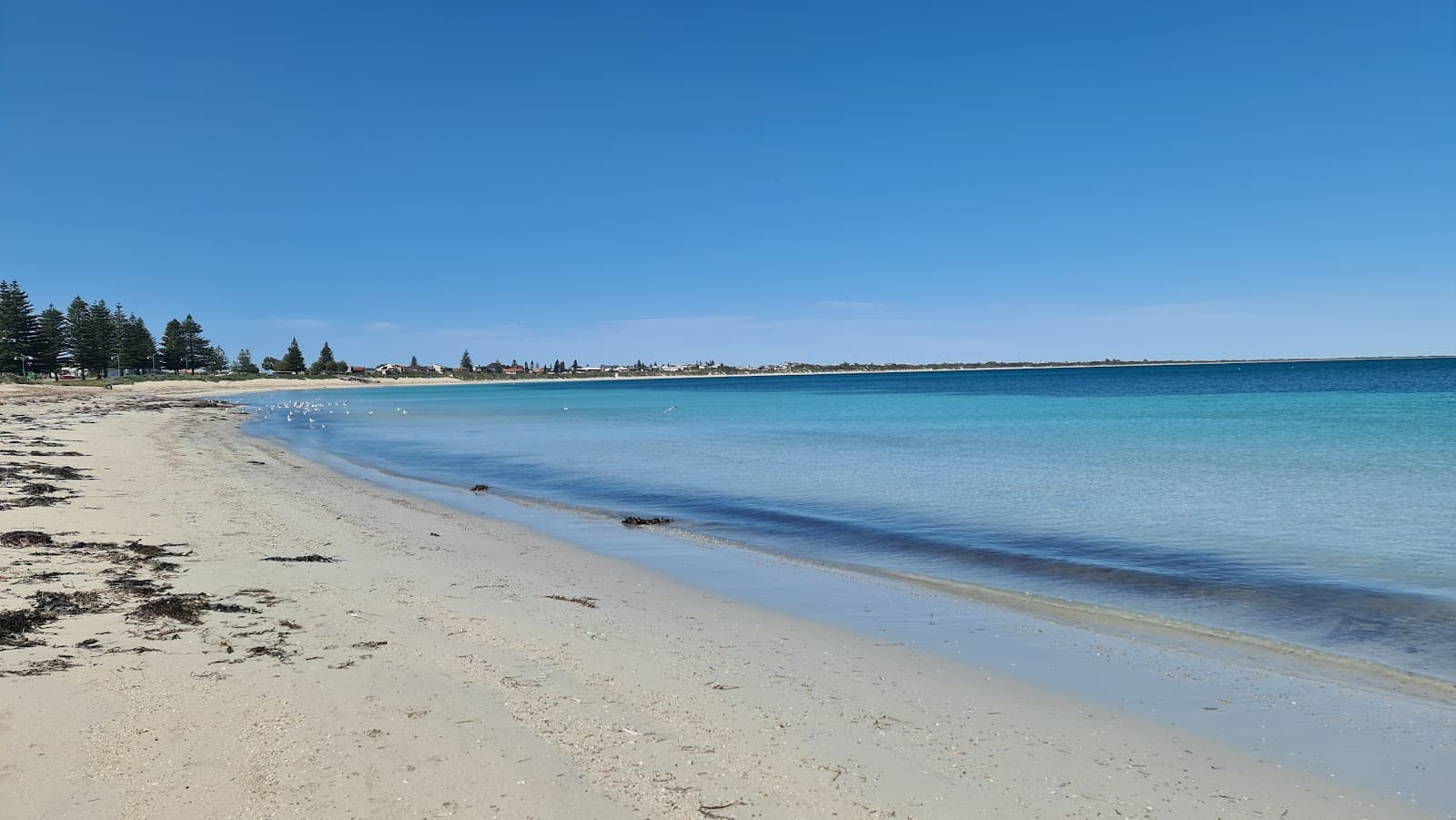 Safety Bay Foreshore Reserve - Image 1