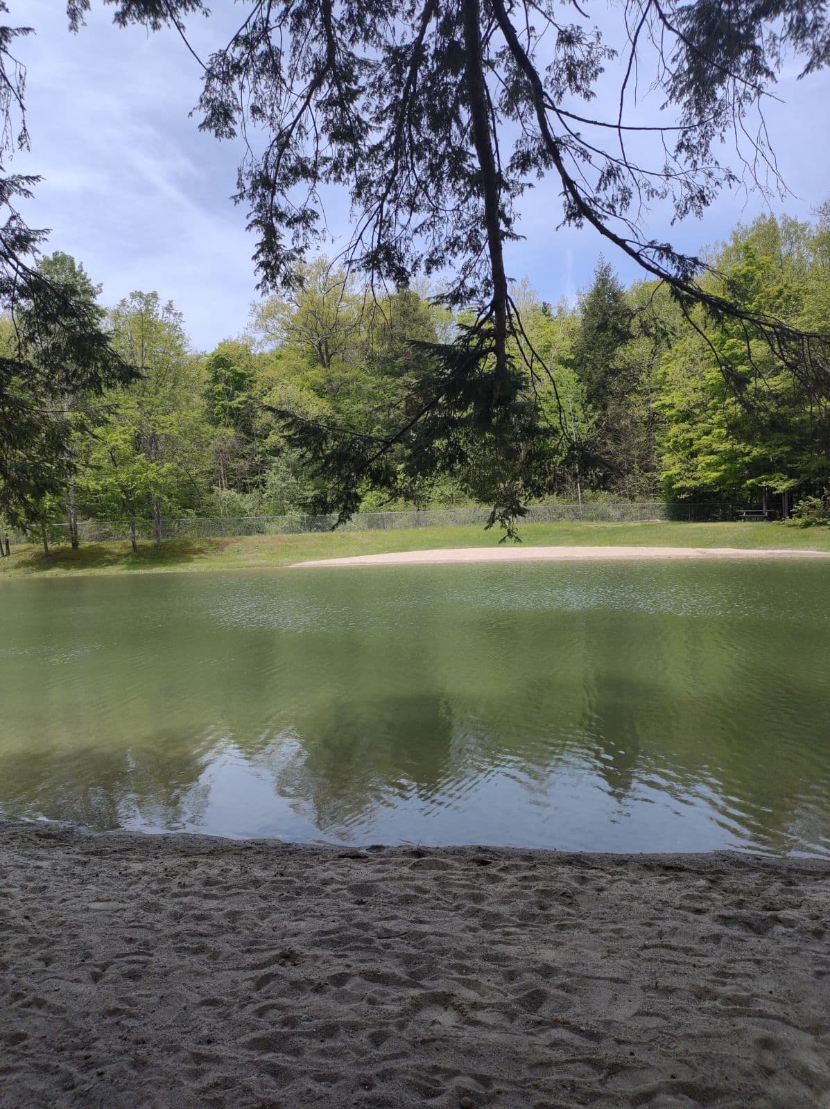 Margaret Lindley Park & Pond - Image 1