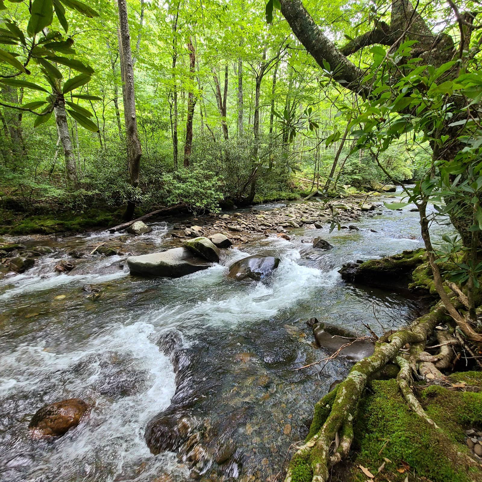 Secluded Wilderness Experience