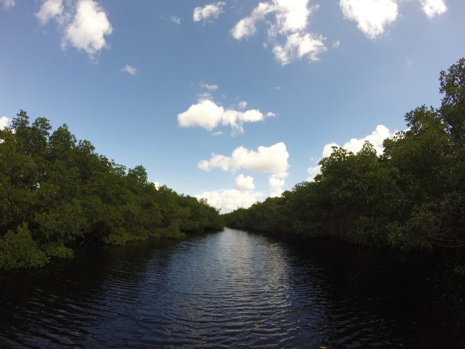 Cockroach Bay Preserve State Park - Image 1