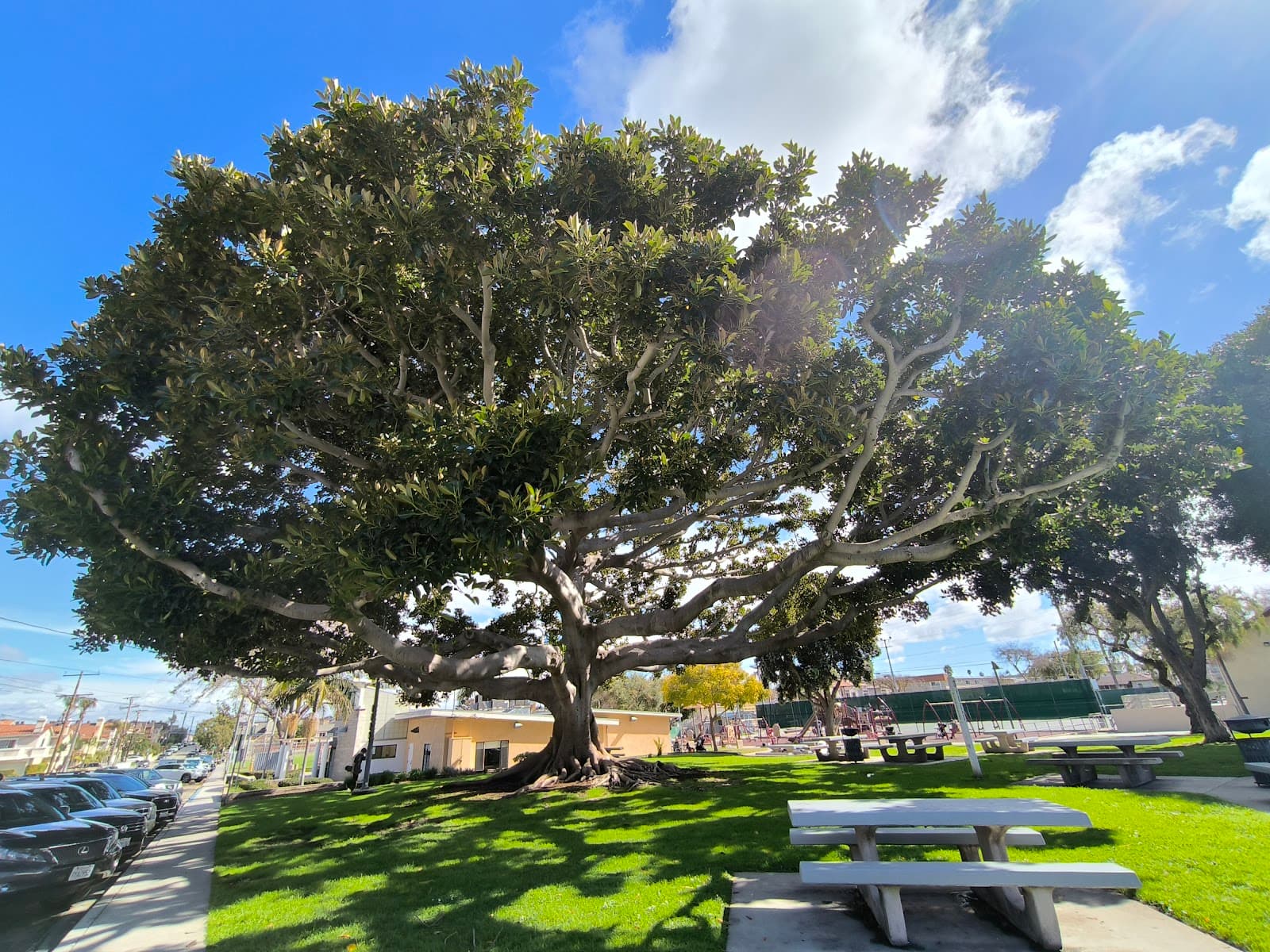 Perry Park - Image 1