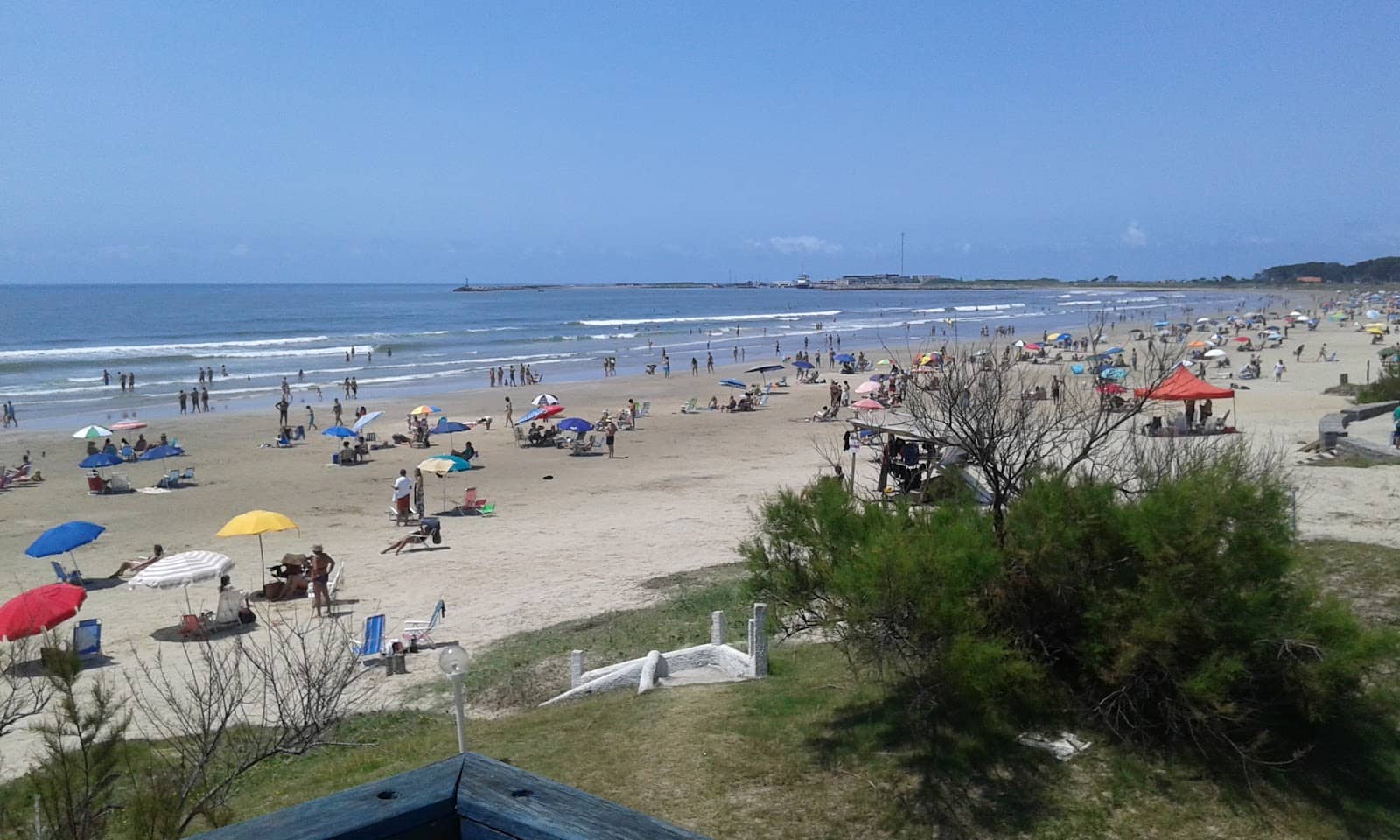 Surfing Opportunities