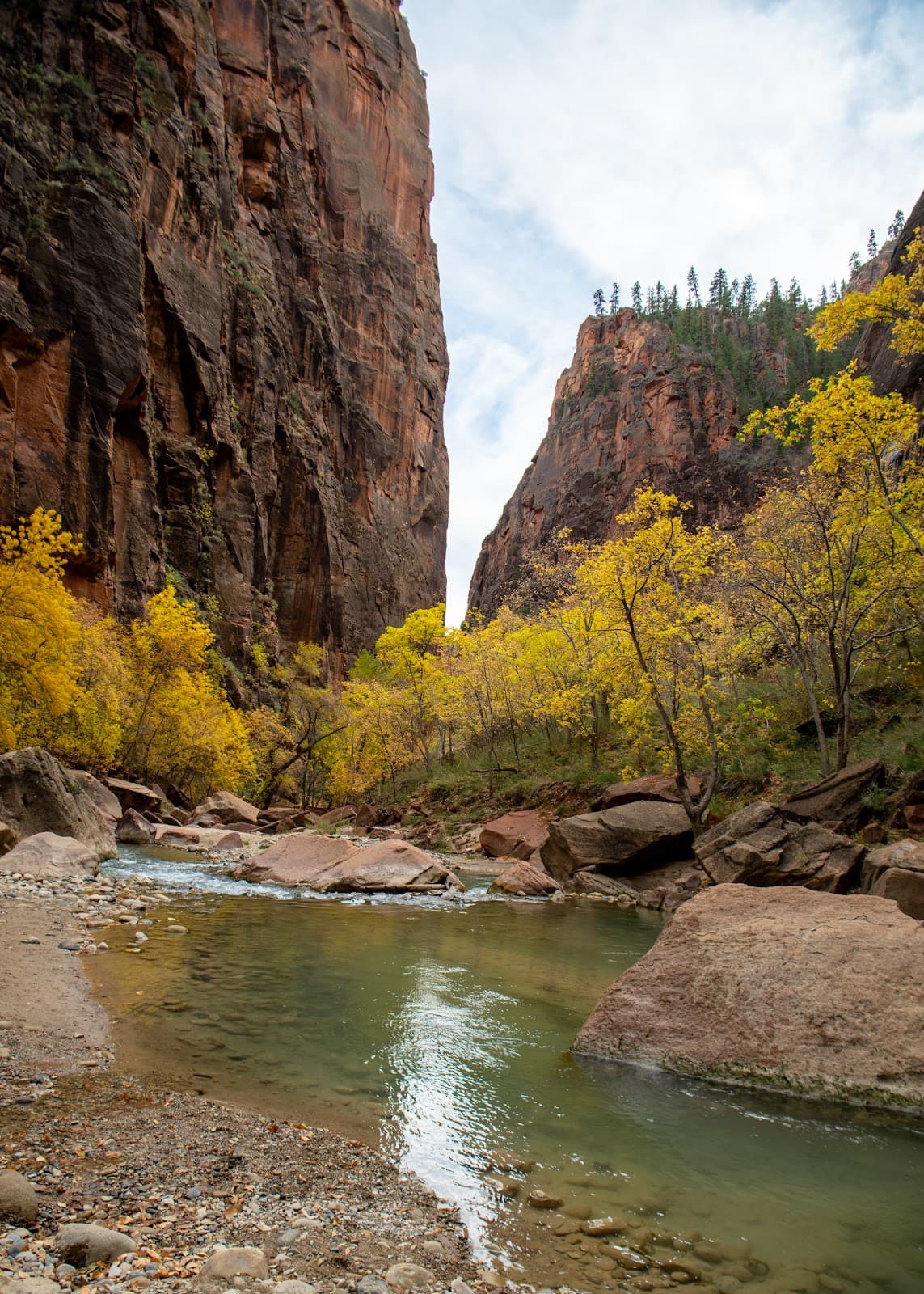 Temple of Sinawava - Image 1