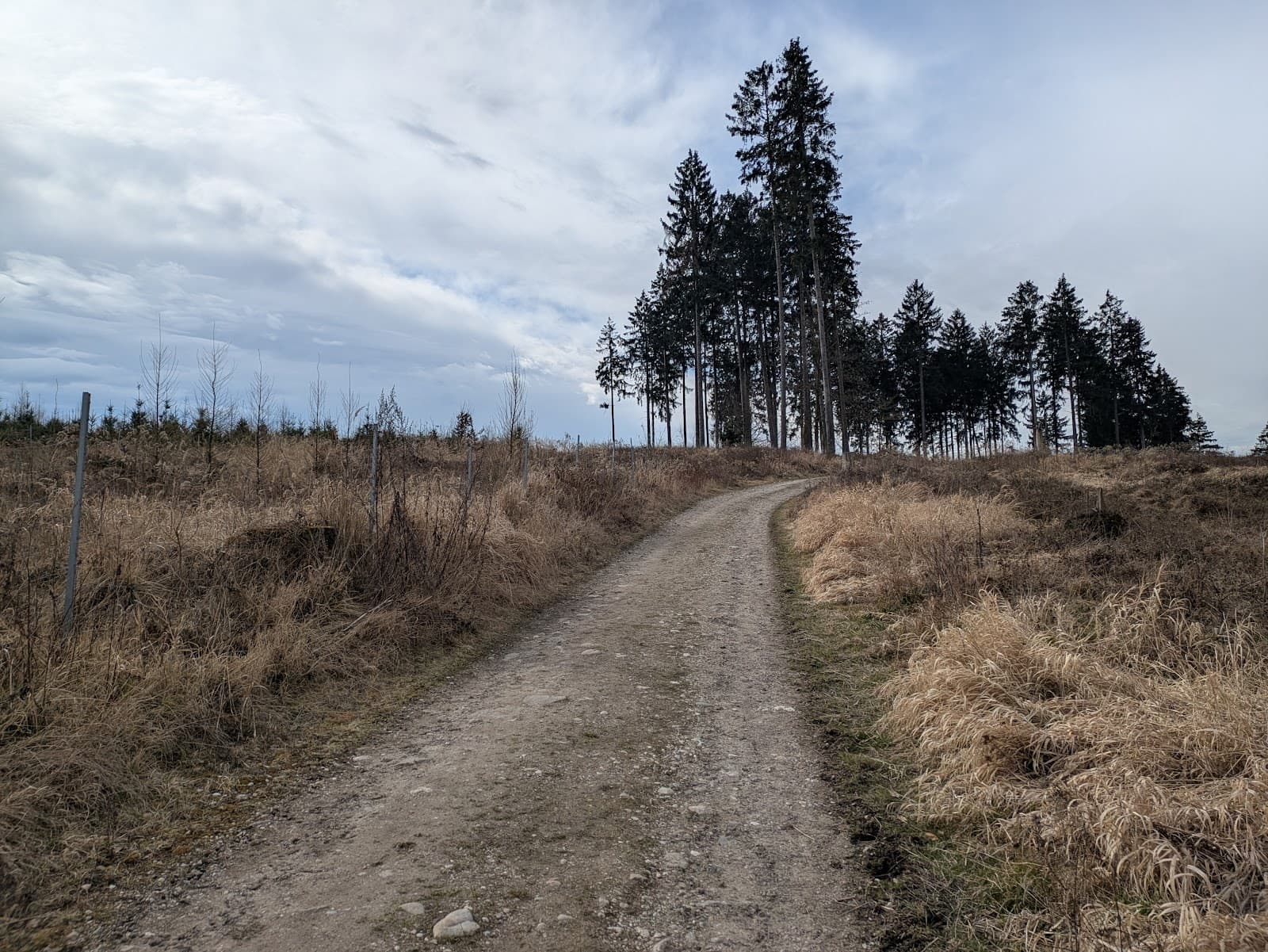 Kürnbergerwald - Image 1