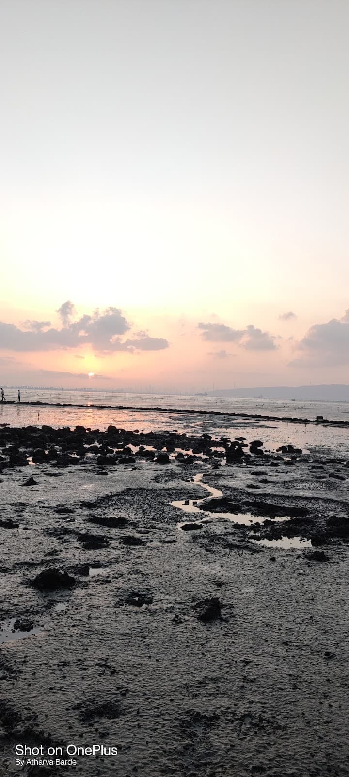 Karave Lake Seawoods - Image 1