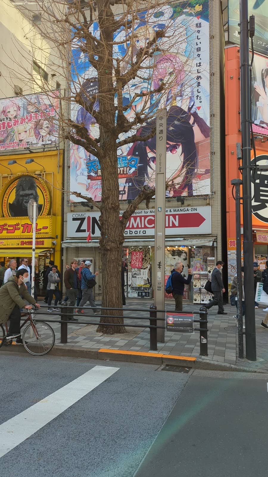 Adult Content Collection