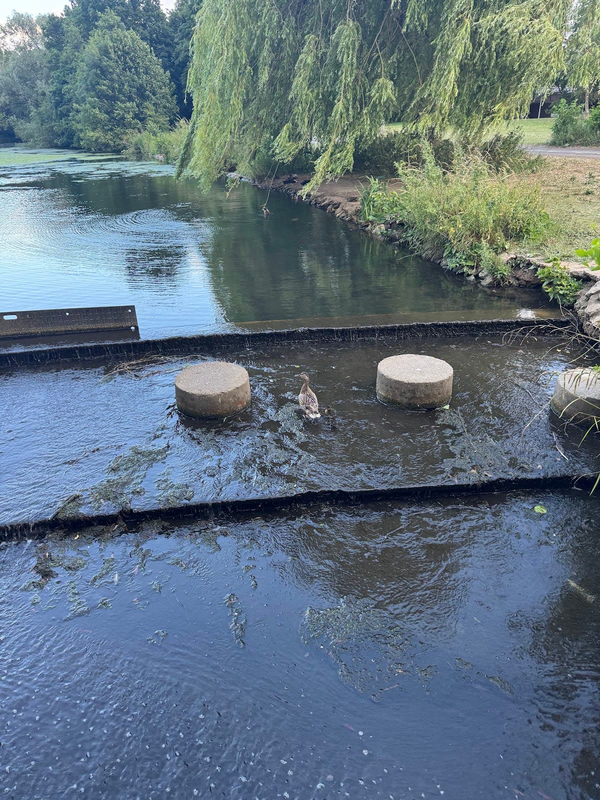 Kettlebrook Local Nature Reserve - Image 1