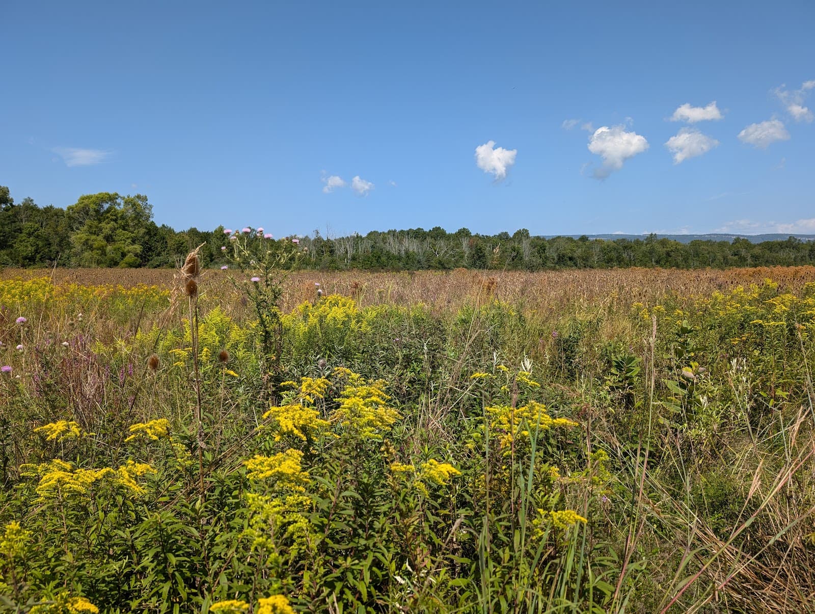 Shawangunk Grasslands National Wildlife Refuge - Image 1