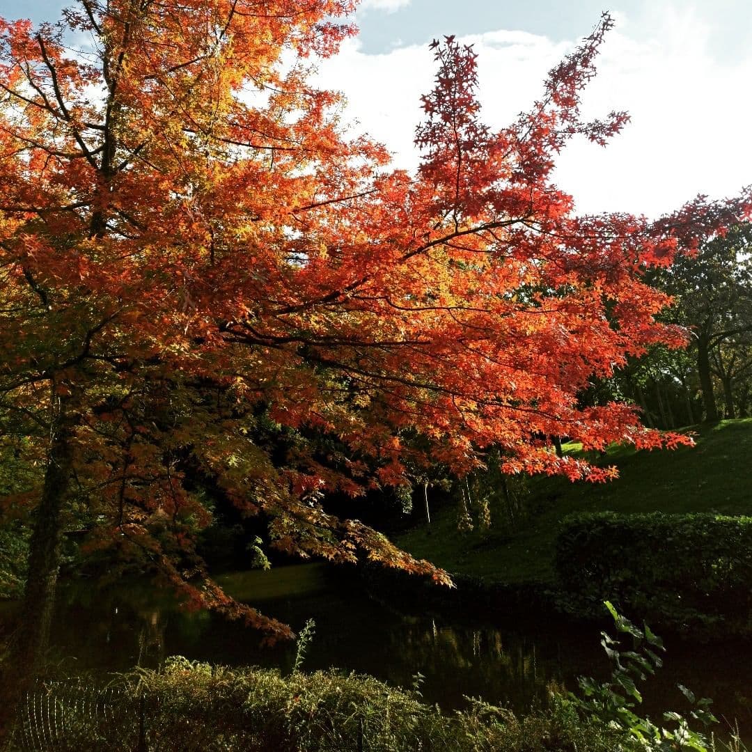 Compans-Caffarelli - Image 1