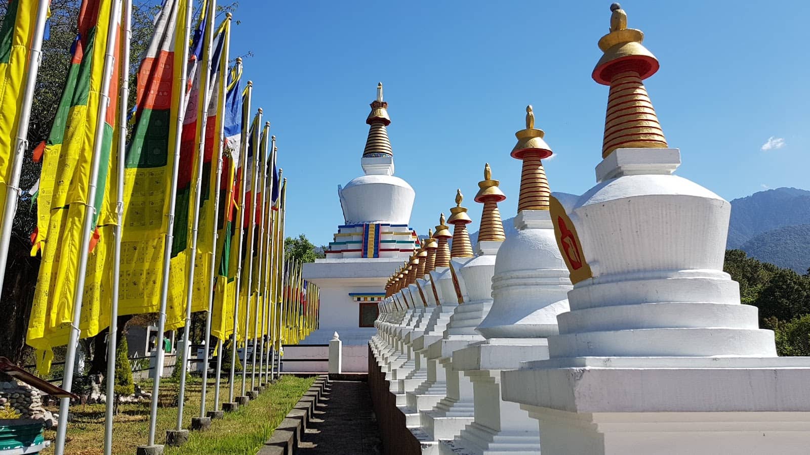 Monastic College & Library