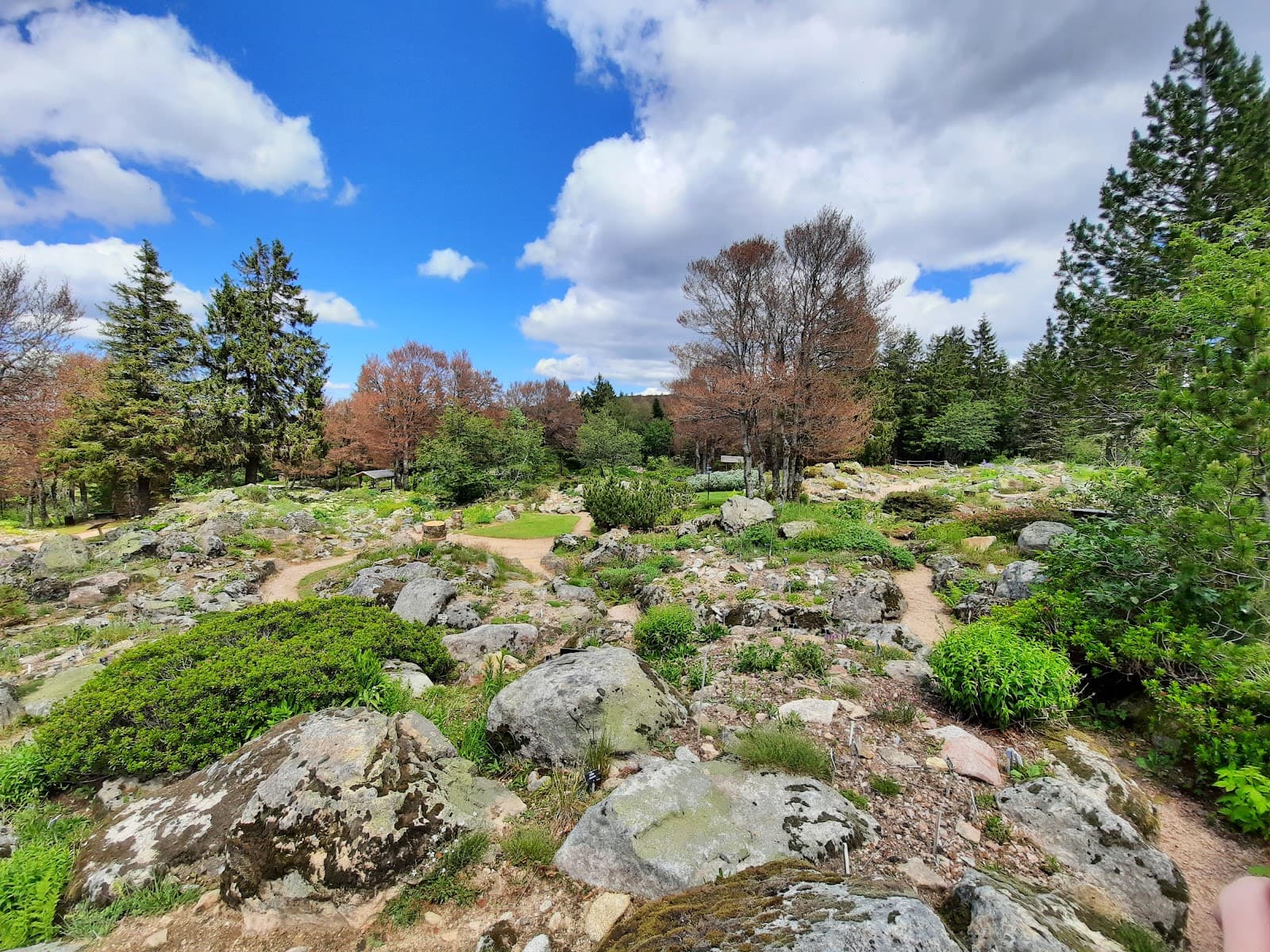 Jardin d’altitude du Haut Chitelet - Image 1
