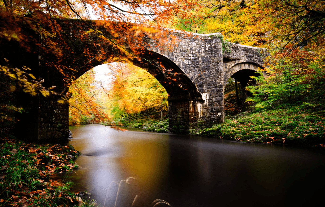 Exploring Holne Woods