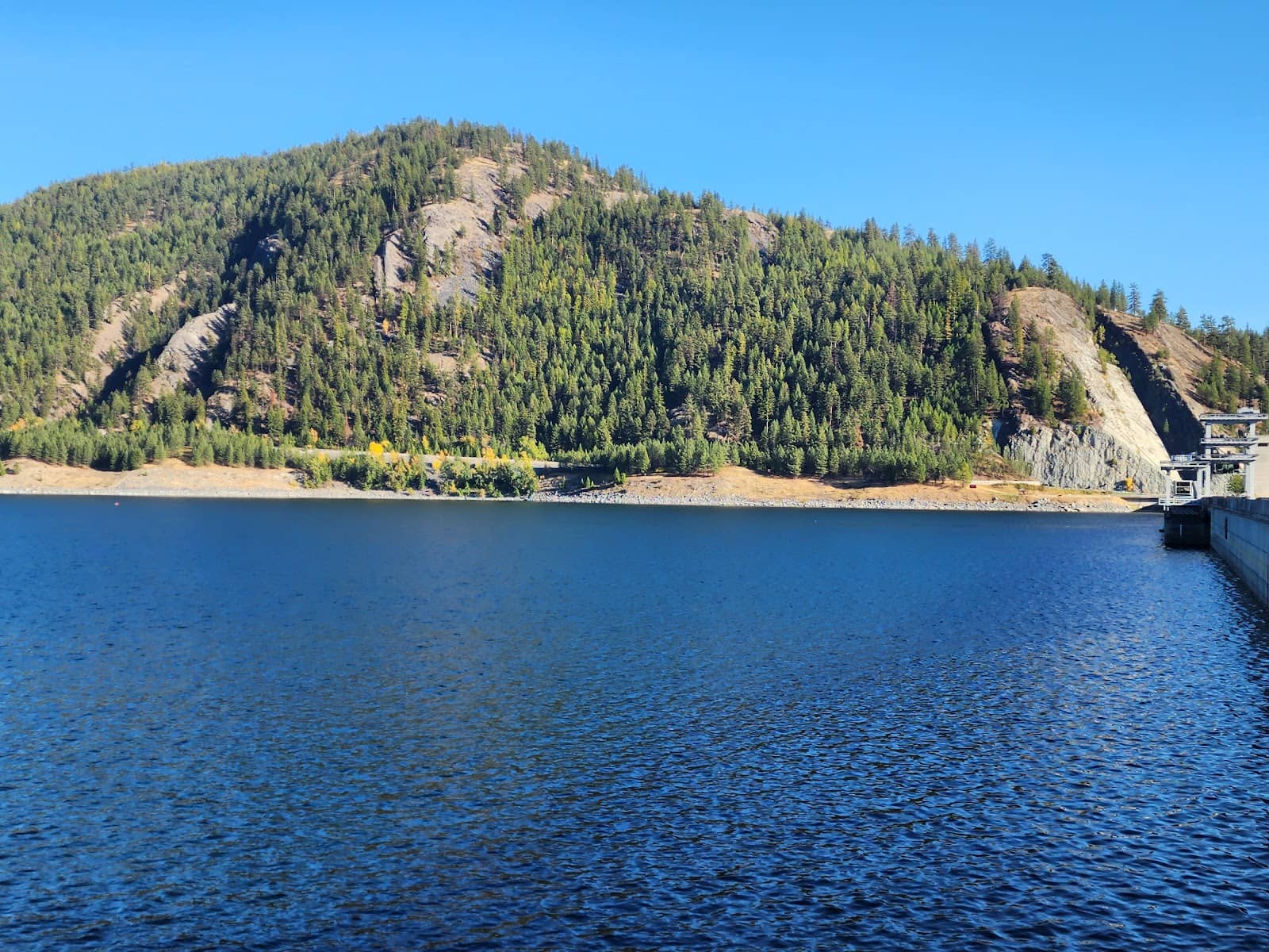 Bird Watching Opportunities