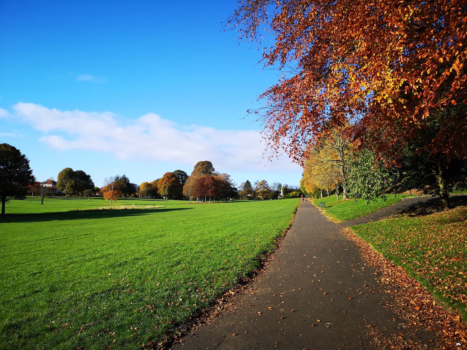 Victoria Park Dundee - Image 1