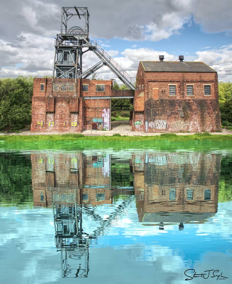 Woodland Surroundings