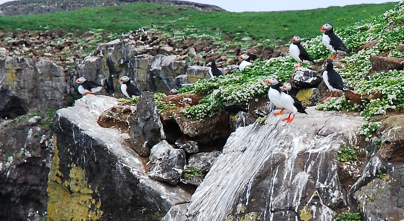 Grímsey Island Arctic Circle - Image 1