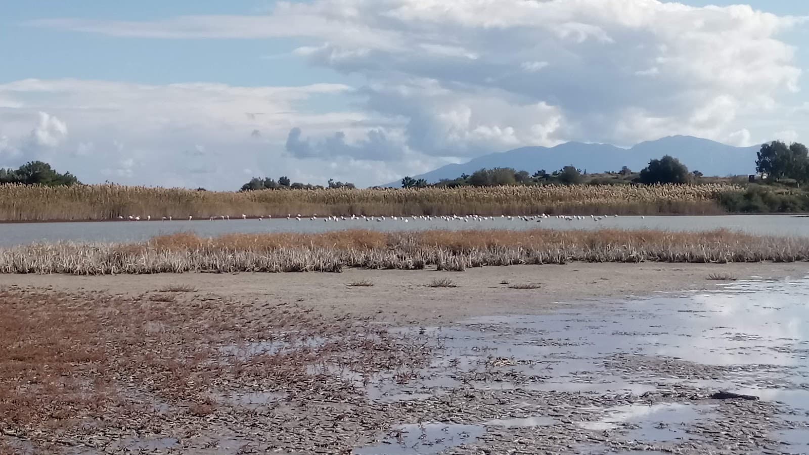 Psalidi Wetlands Kos - Image 1