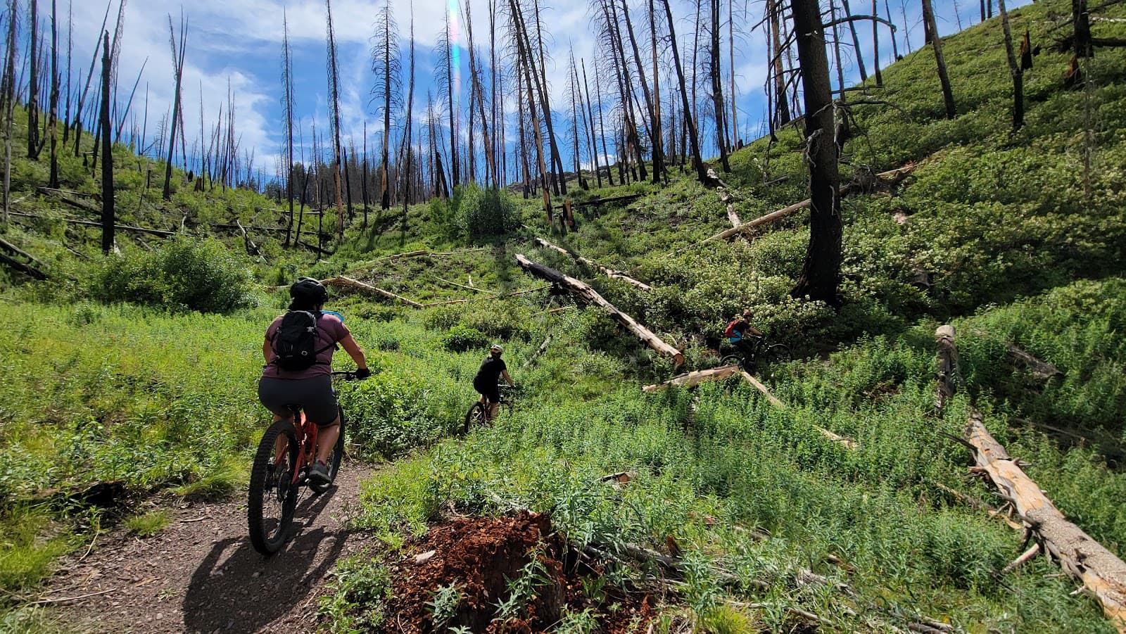 Adams Gulch Trailhead - Image 1