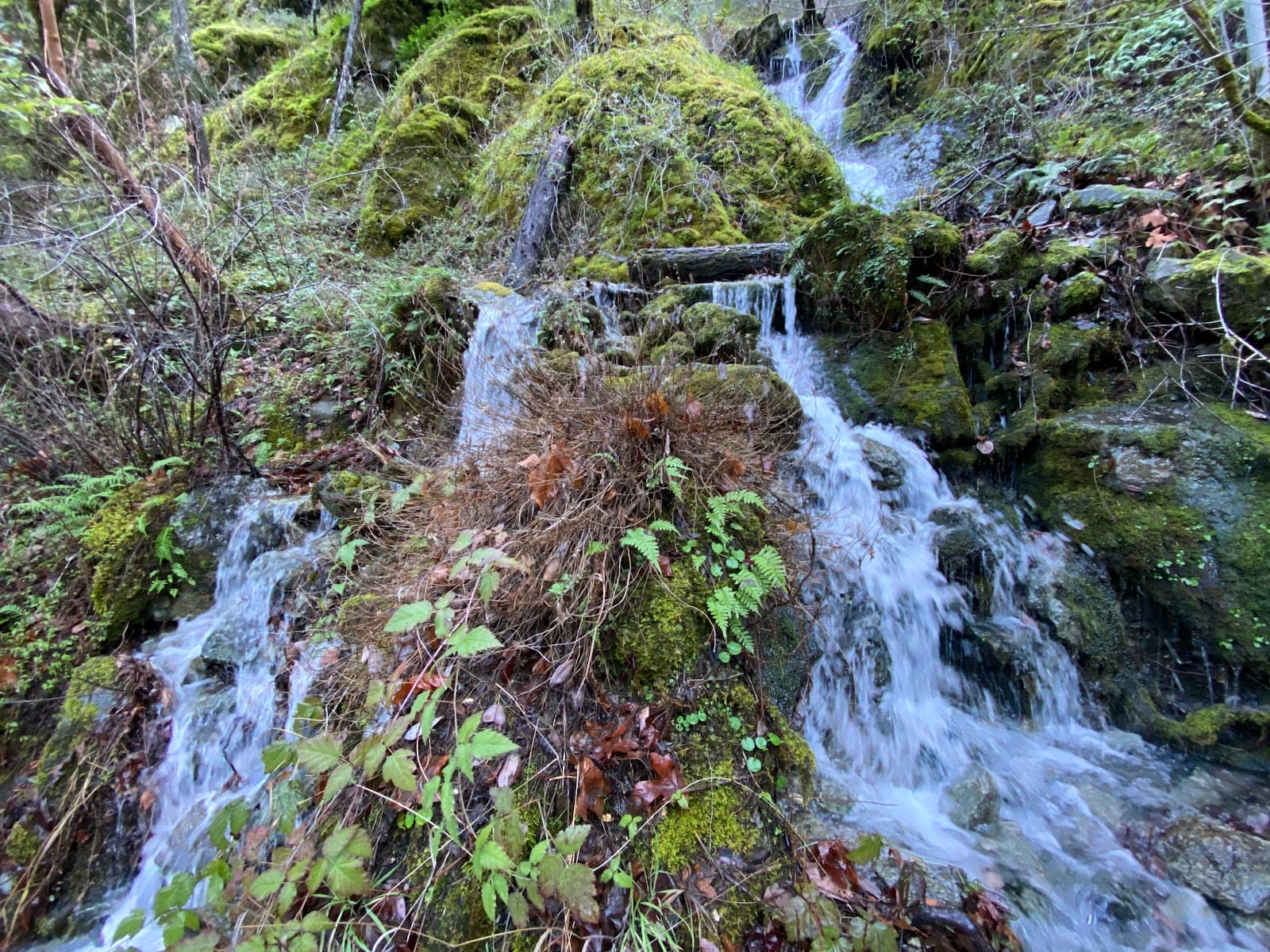 Rainie Falls Trail - Image 1
