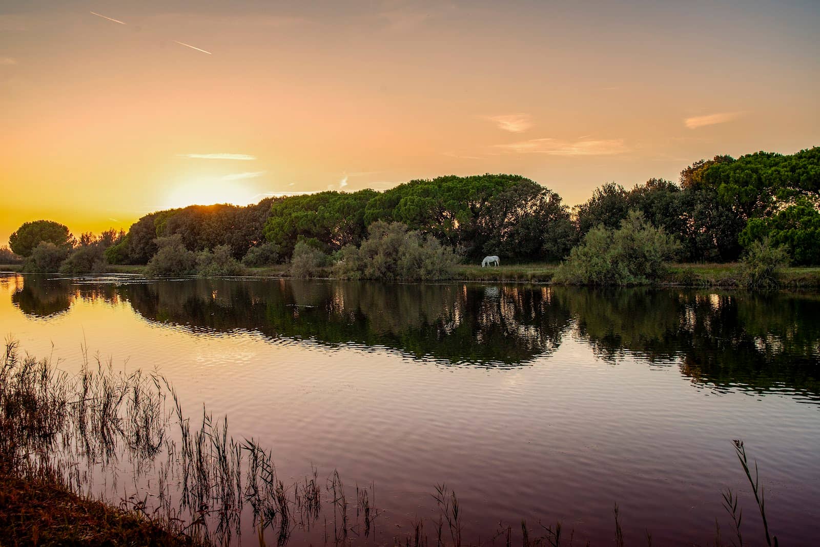 Scenic Natural Reserve