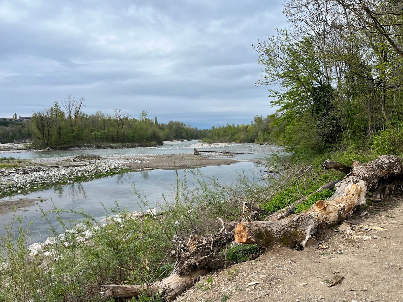 Réserve naturelle du Delta de la Dranse - Image 1