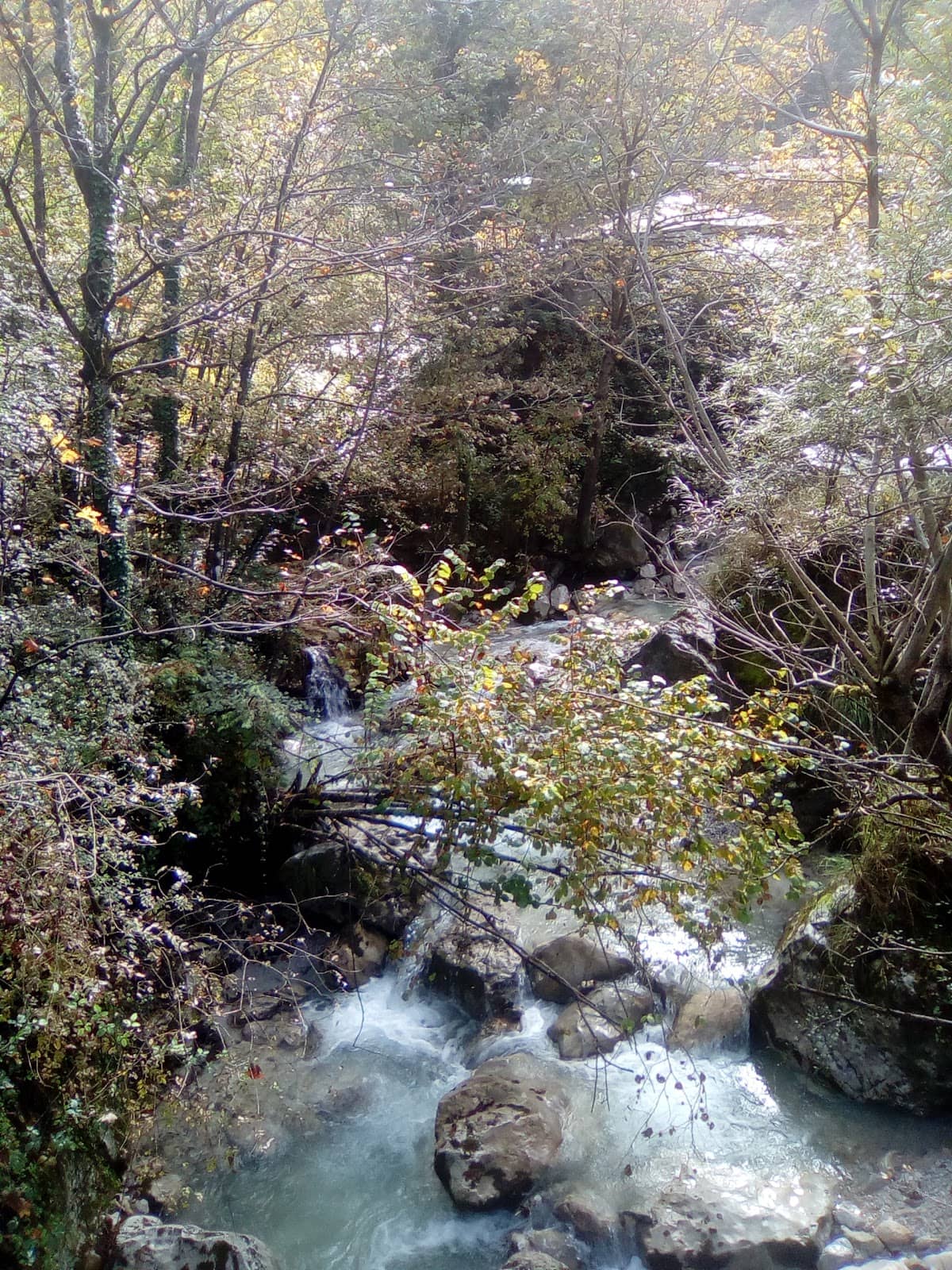 Vertical photo