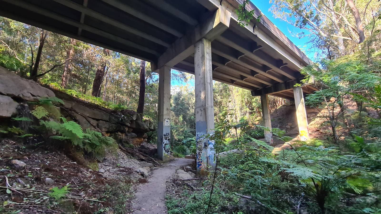 Sydney Coastal Dry Sclerophyll
