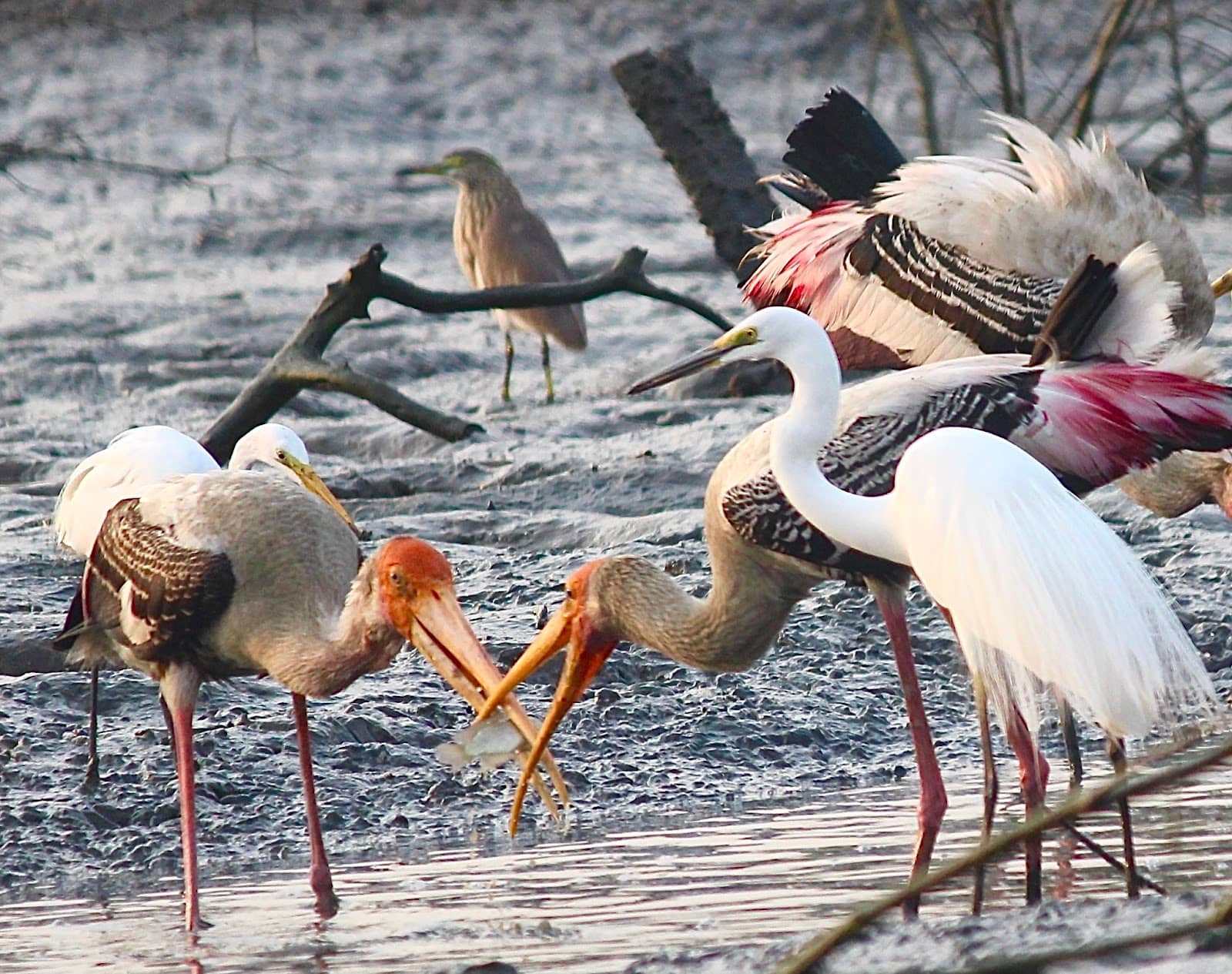 Peaceful Nature Escape