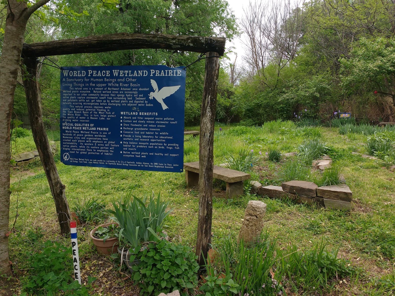 World Peace Wetland Prairie - Image 1
