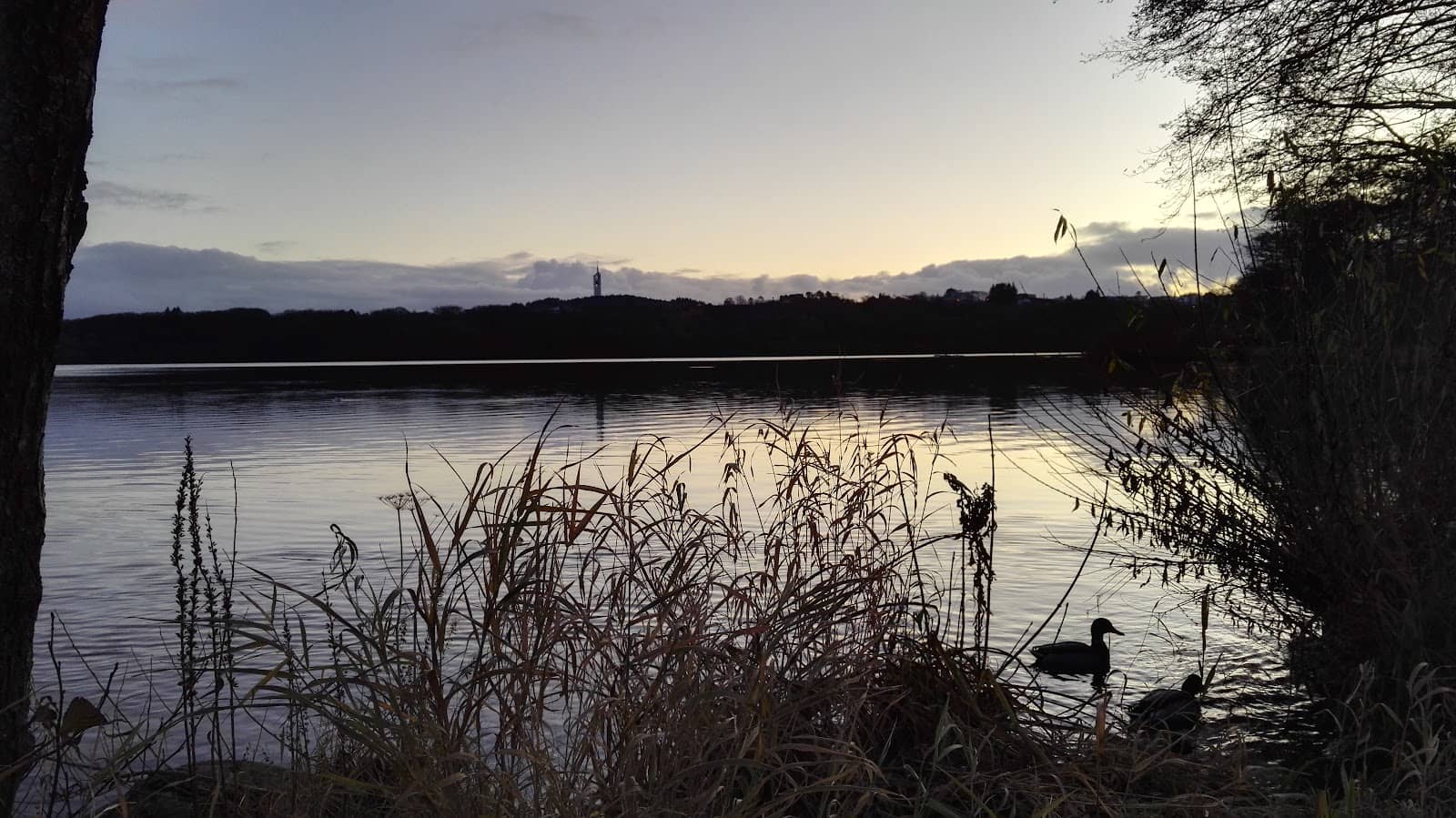 Stavanger Art Museum