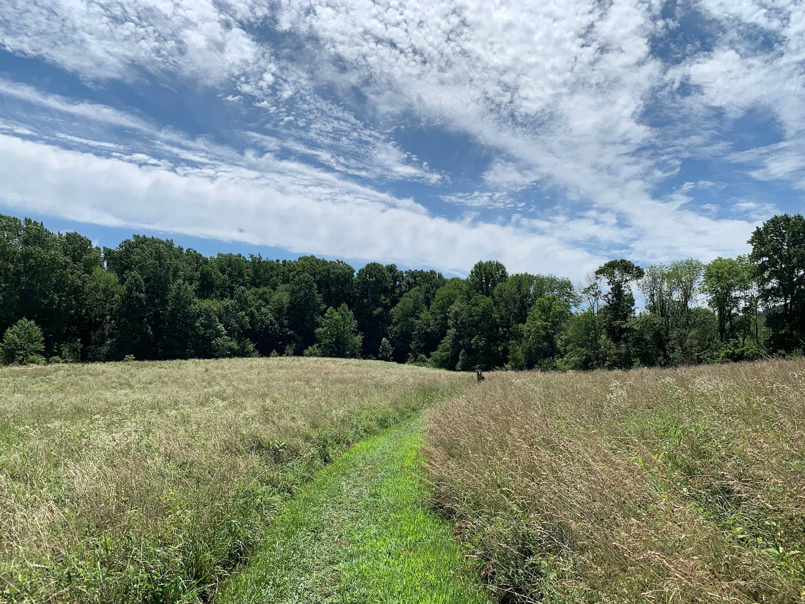 Geocaching Adventure