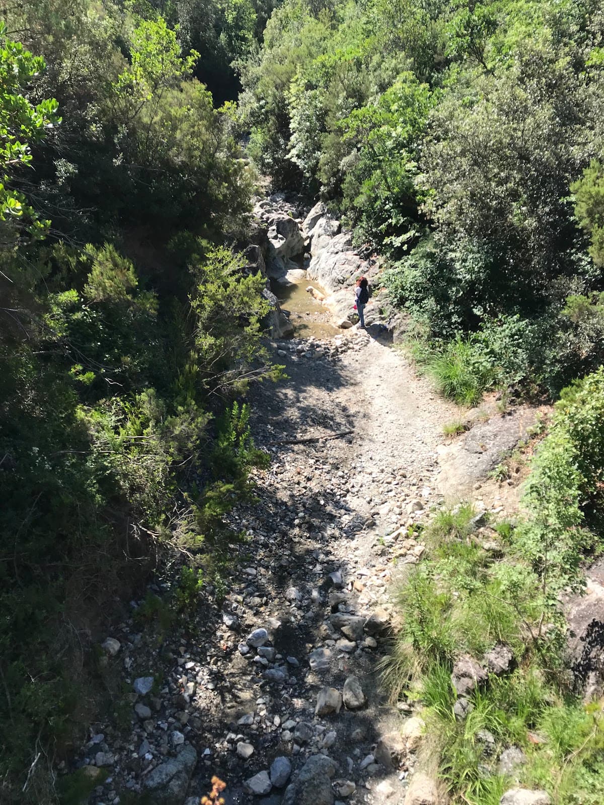 Colline Livornesi trails (GabbroβNibbiaia) - Image 1